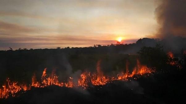 Wild Fire spreading fast in Amazon Rain Forest