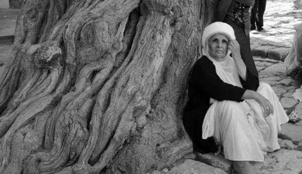 A Yazidi old woman sitting under a tree