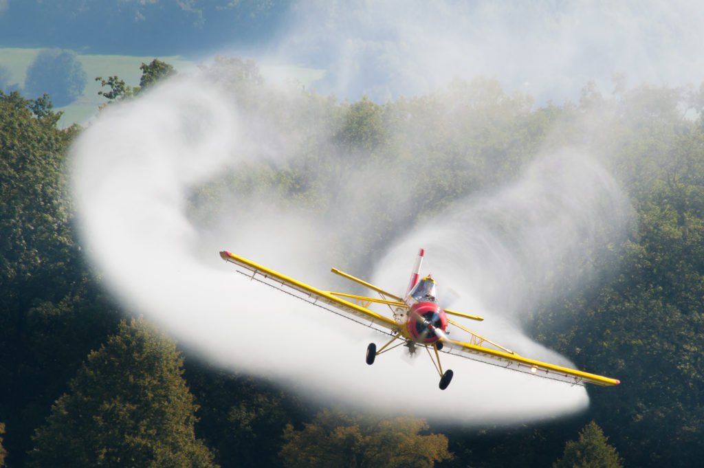 Current Strategy to eradicate Locust Plague: Dumping of large quantity of Insecticides