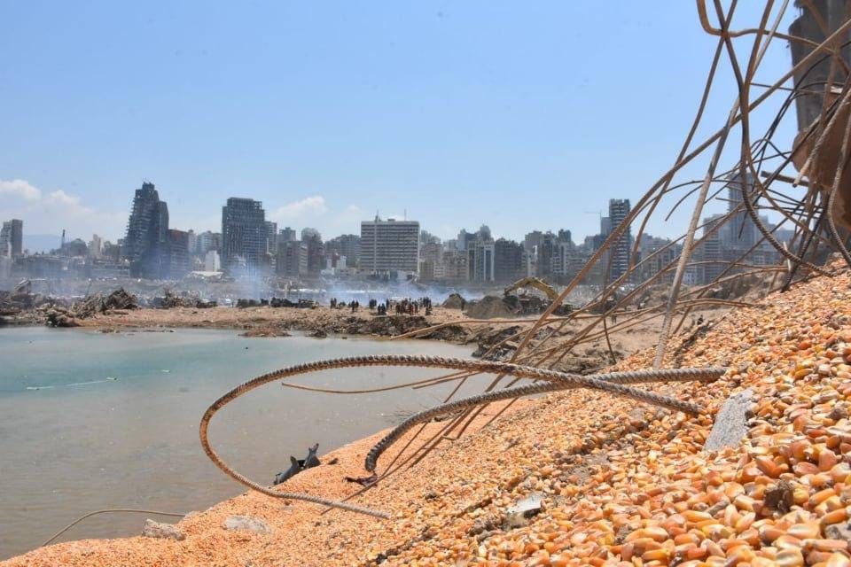 Destruction after Blast in Beirut, Lebanon : Grains at port were destroyed in the blast. it's all contaminated with toxins