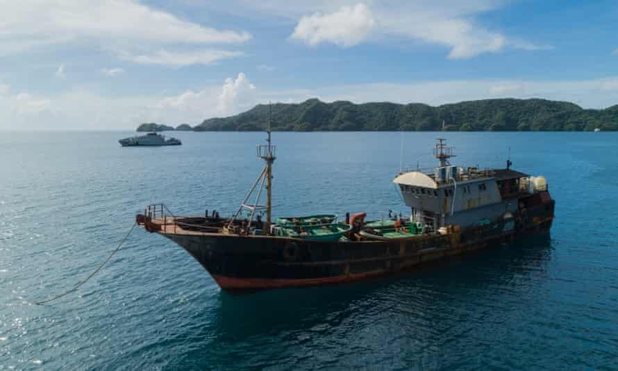 Chinese Illegal Fishing Loot : Tiny Pacific Nation of Palau Detains 'Illegal' Chinese Fishing Vessel