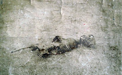 The tormented body of an Armenian woman | Armenian Genocide | NewsComWorld.com